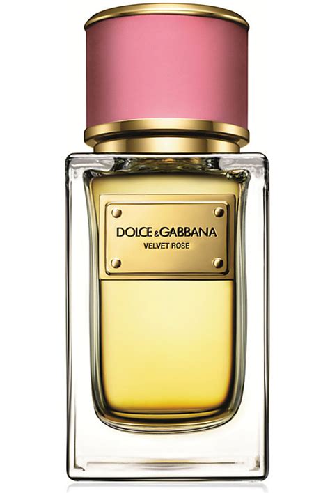 parfum dolce gabbana rose